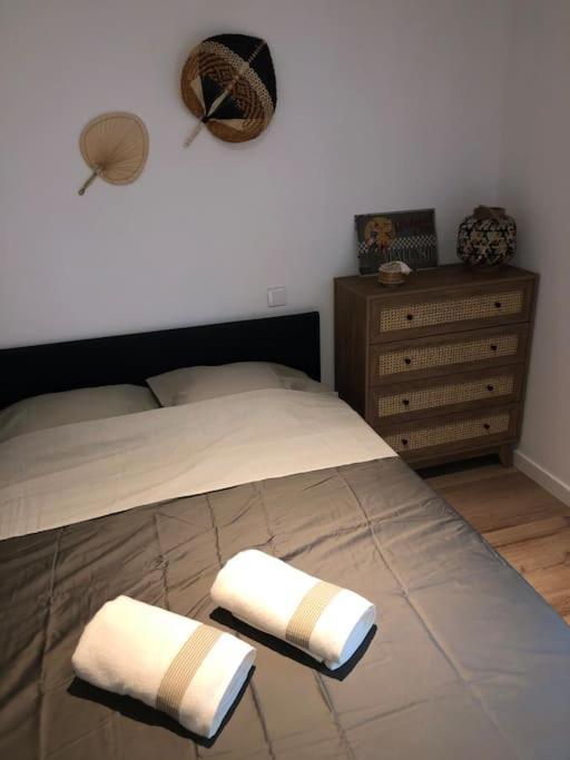 Appartement Cosy-Grand Stade Villeneuve D'Ascq Lezennes Екстер'єр фото