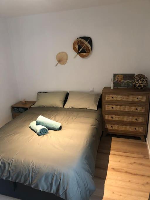 Appartement Cosy-Grand Stade Villeneuve D'Ascq Lezennes Екстер'єр фото
